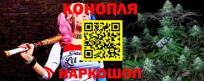 молекула духа Партизанск
