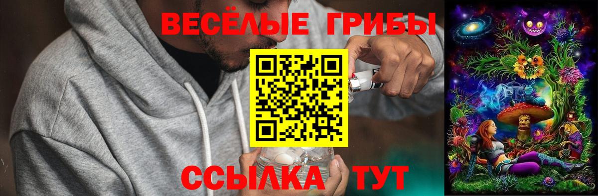 Галлюциногенные грибы ЛСД  Вход с VPN  Тольятти 